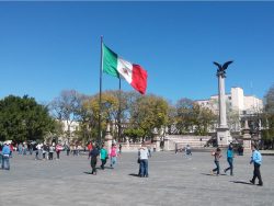 メキシコ就職・生活相談、通訳サポート
