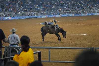 Houston Live Stock Show and Rodeo　photo:flickr by 41st Field Artillery Brigade