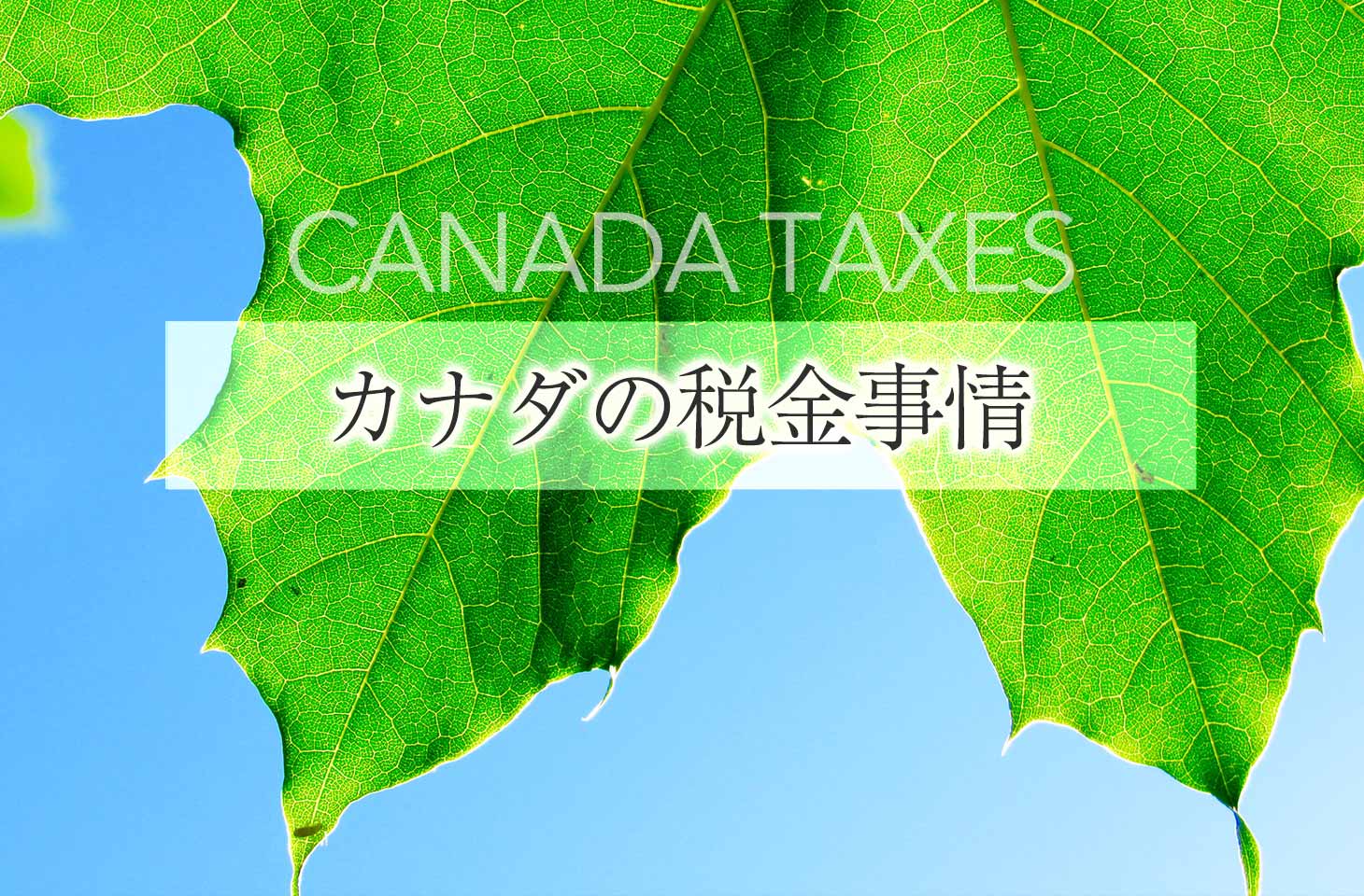 カナダの税金事情