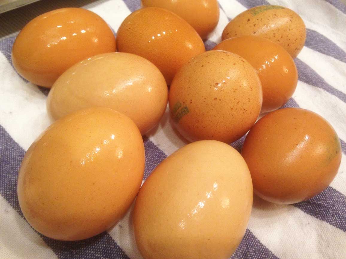 ロシアの卵