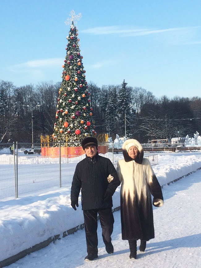 ロシアのソコーリニキ公園を腕を組んで散歩するご夫婦