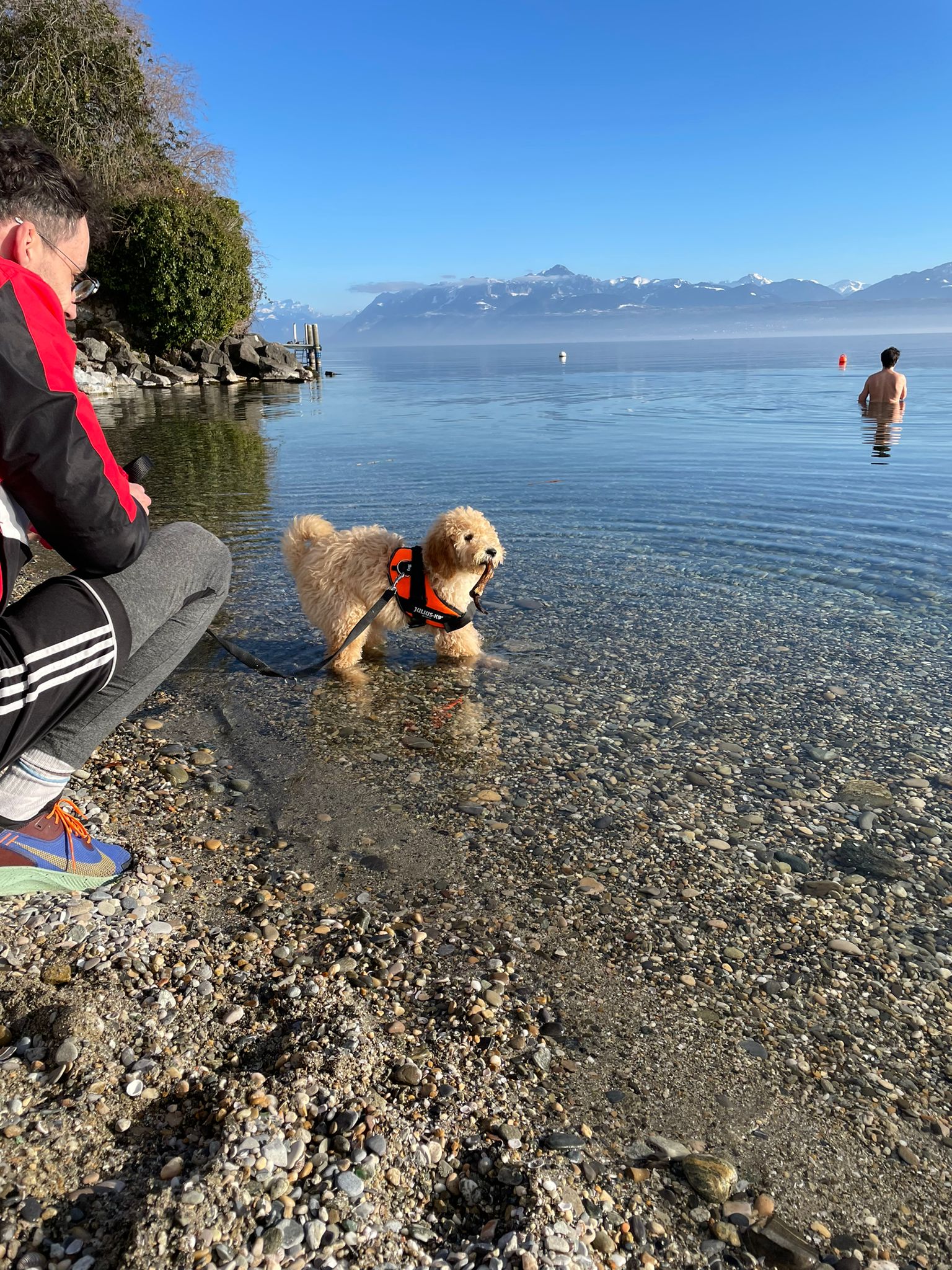 自然豊かで治安の良いスイスレマン湖半で短期留学しませんか