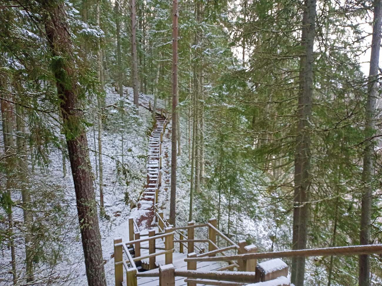 初冬の森の遊歩道。冬でも雪の中をハイキングします。