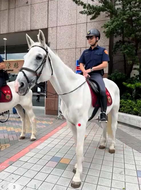 台湾の白馬に乗った警官